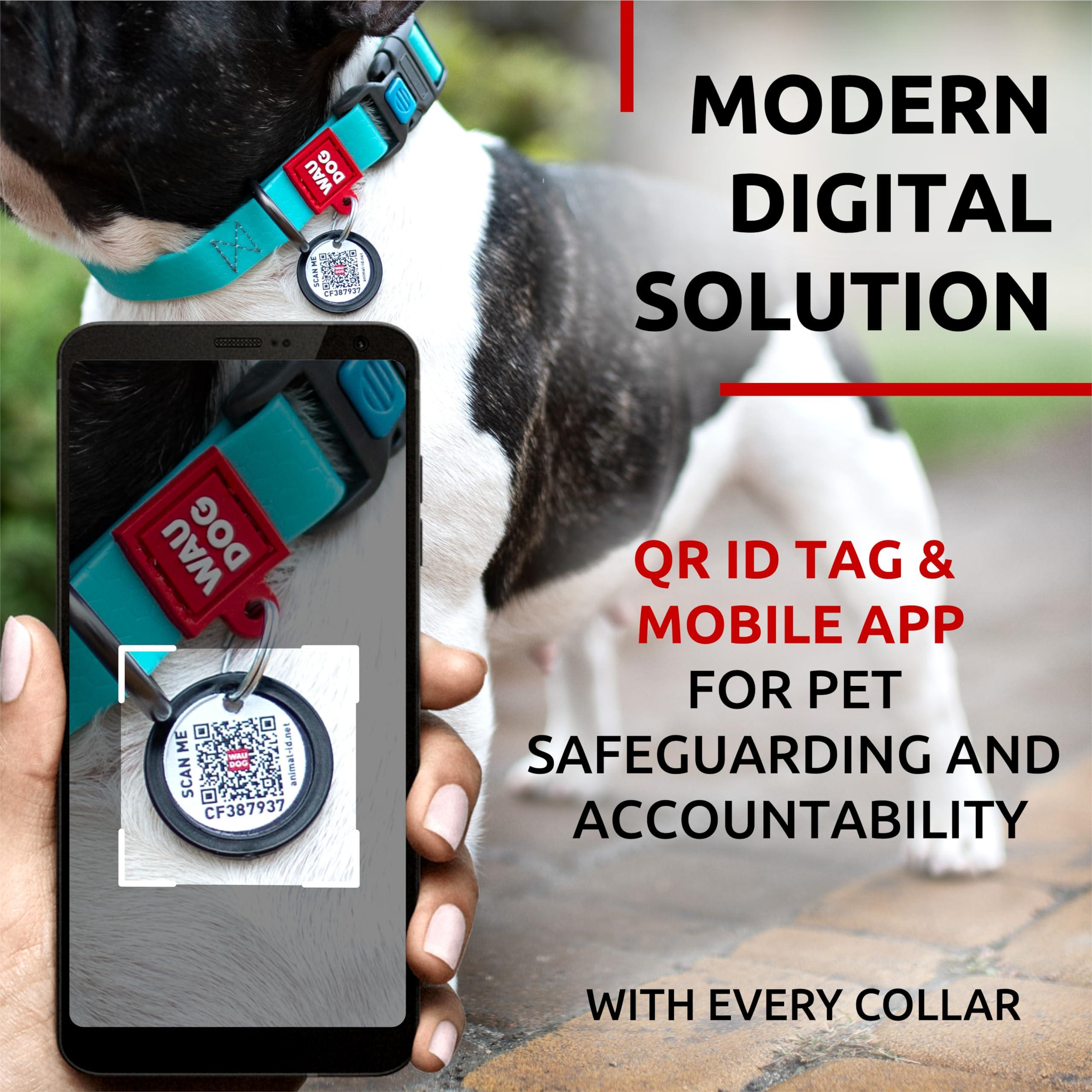 Waterproof Dog Collar   Heavy Duty Adjustable Durable Dog Collars for Small Medium Large Dogs   Red Blue Pink Mint Green Dog Collar   Safety Plus (11    15 1 2  Neck Glowing) Waudog