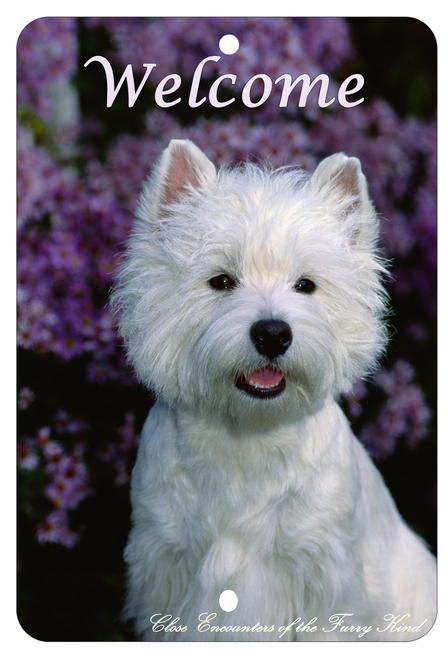Westie - Best of Breed  Indoor/Outdoor Aluminum Sign Best of Breed