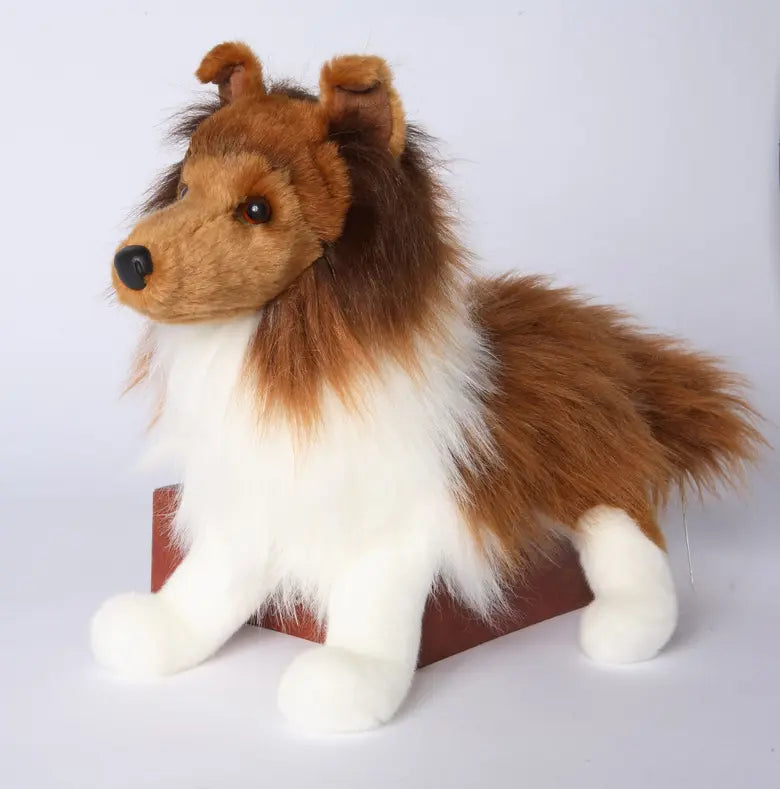 Whispy Sheltie Dog Raul E New York