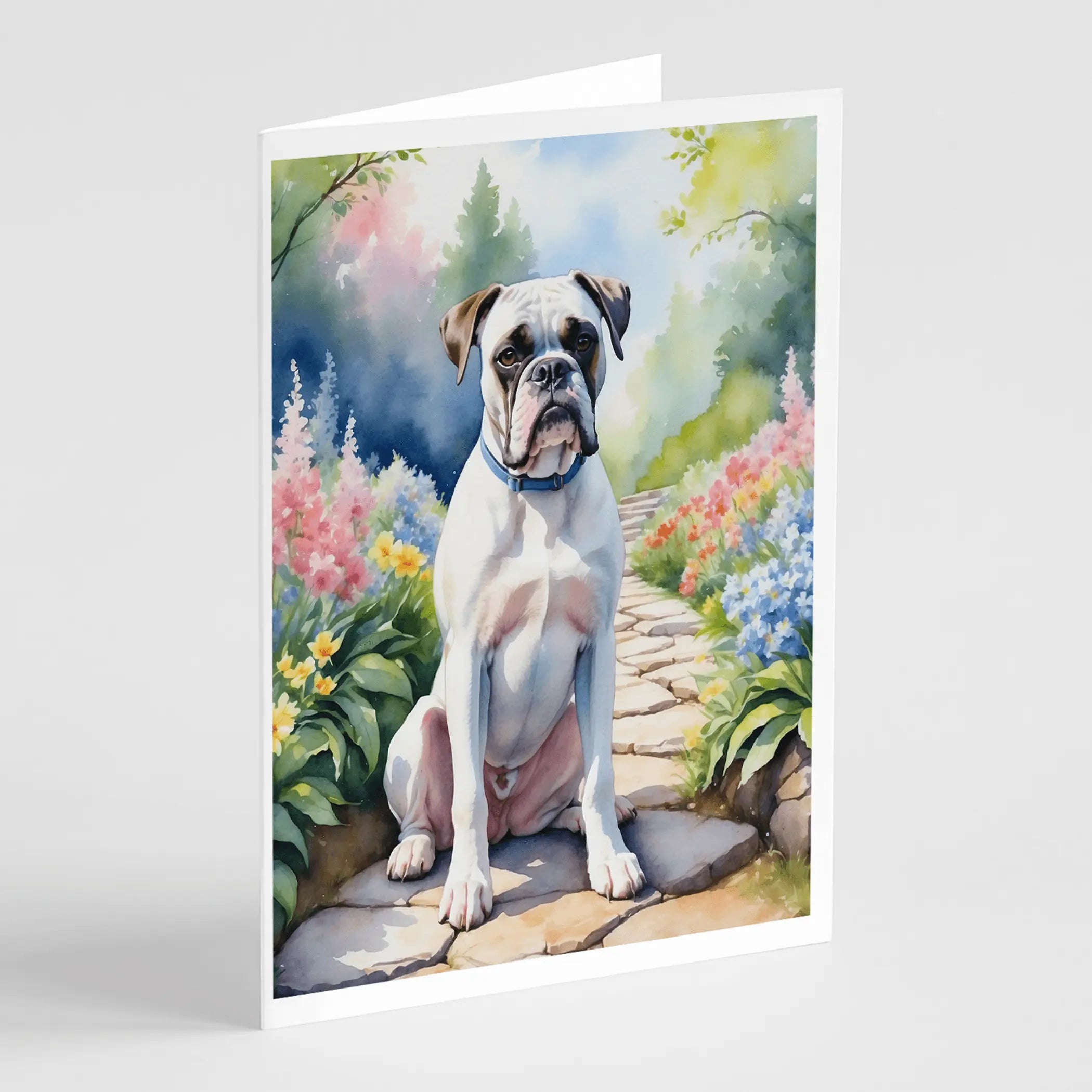 White Boxer Spring Path Greeting Cards Pack of 8 Caroline's Treasures
