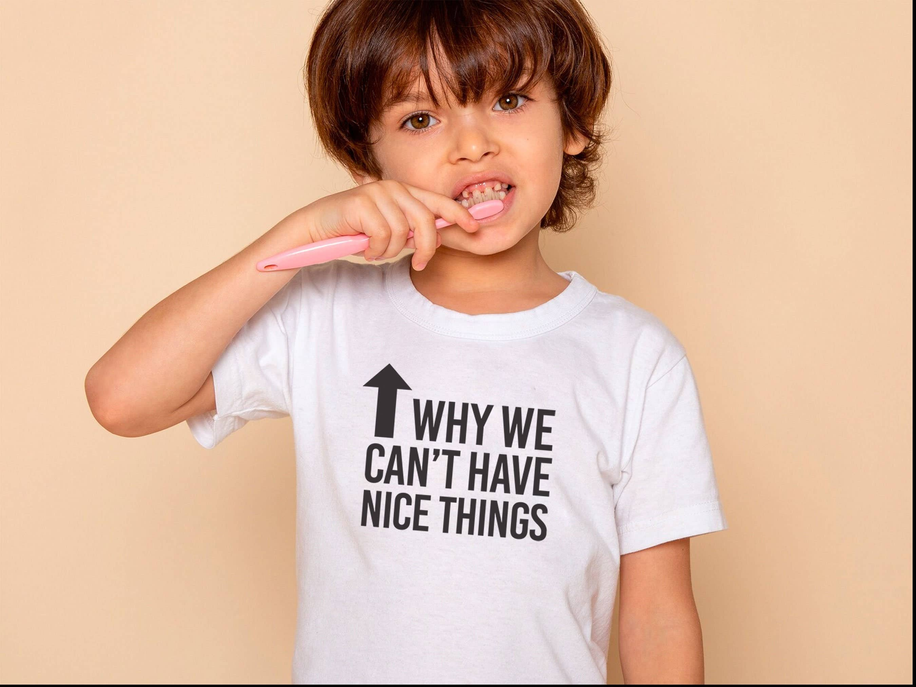 Why We Can't Have Nice Things Funny Kids Shirt Stiles Tee