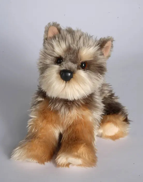 Yettie Yorkie Dog Raul E New York