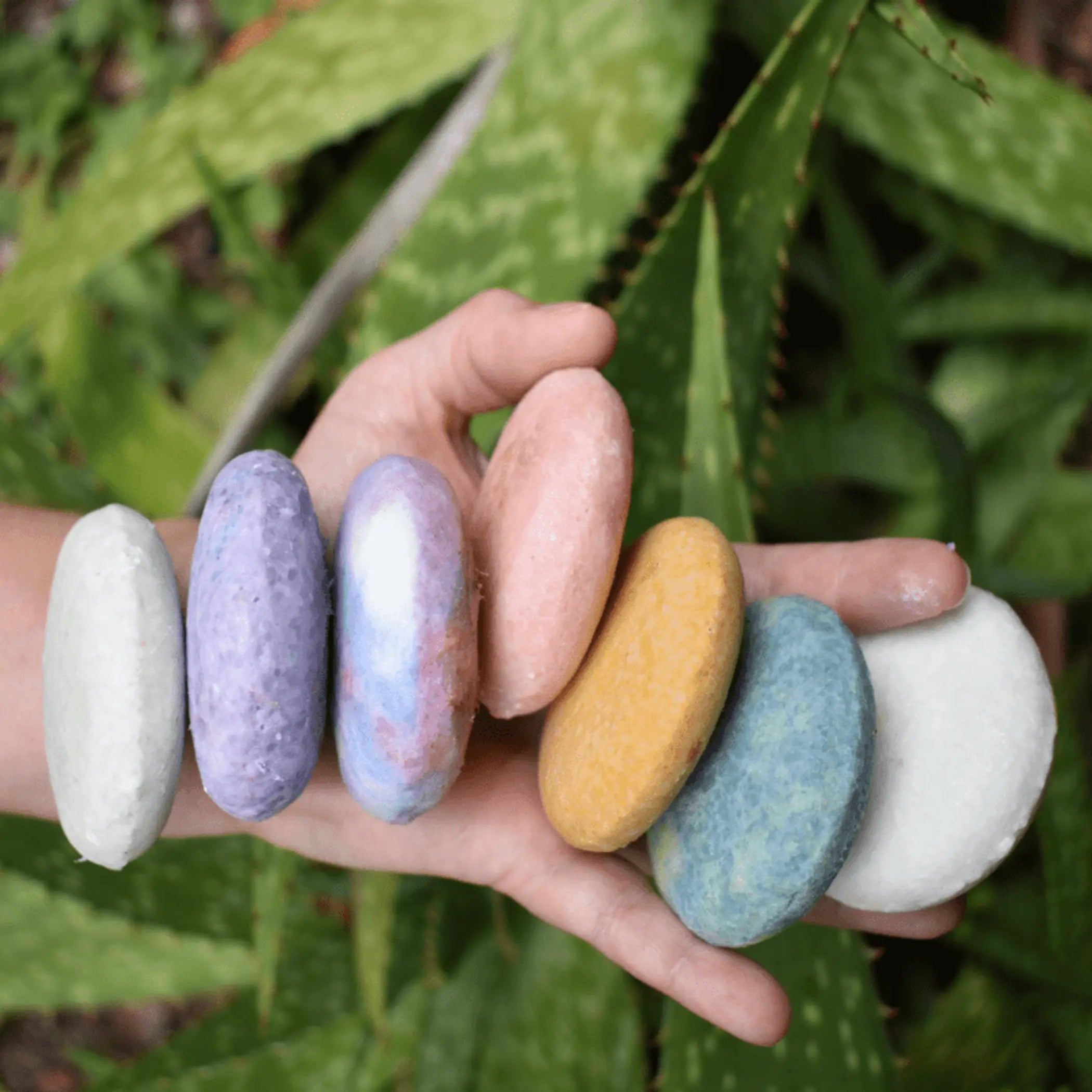 Zero Waste Shampoo Bar by Tangie- Lavender Tangie