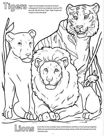 Zoo Animals Really Big Coloring Books Really Big Coloring Books