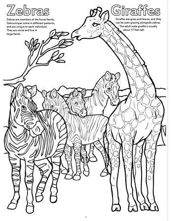 Zoo Animals Really Big Coloring Books Really Big Coloring Books