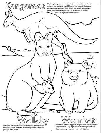 Zoo Animals Really Big Coloring Books Really Big Coloring Books