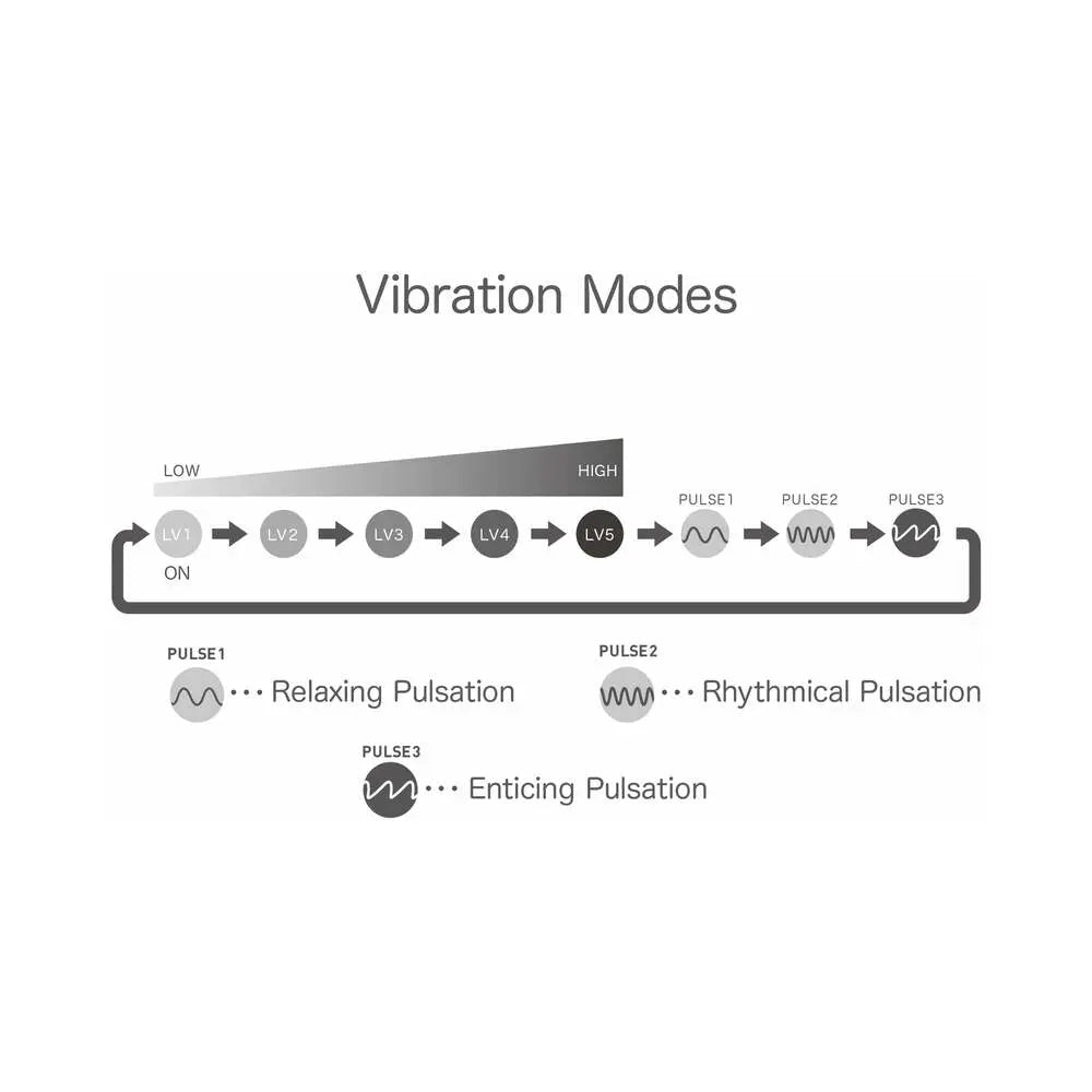 iroha+ TORI Renewal TENGA