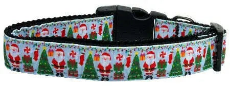 Aqua-Santa-Nylon-Ribbon-Collars-Large-GreatEagleInc-333869318