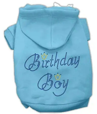 Birthday-Boy-Hoodies-Baby-Blue-L-GreatEagleInc-319522546