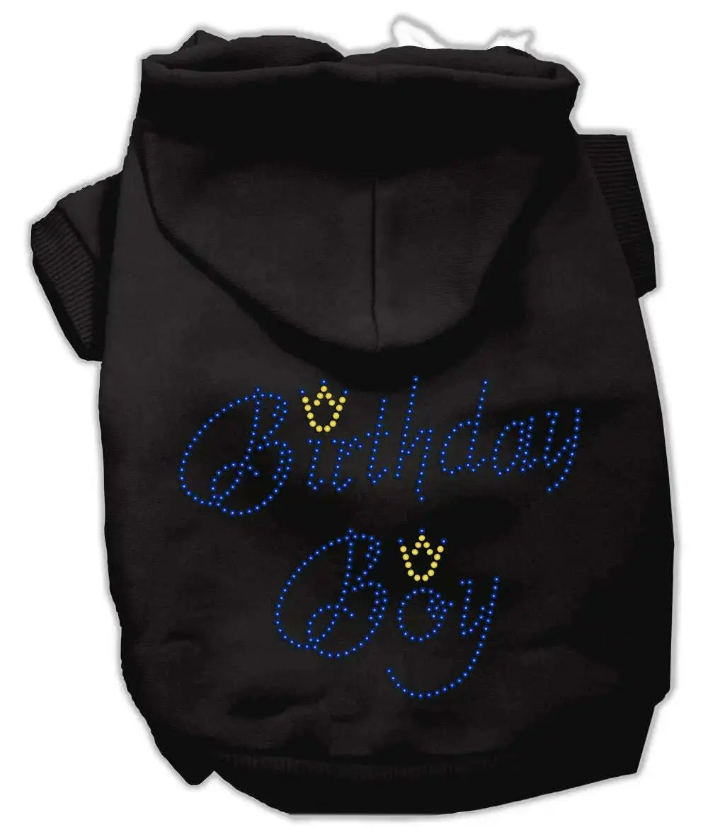 Birthday-Boy-Hoodies-Black-Xl-GreatEagleInc-319520674