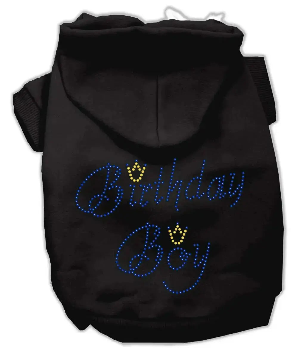 Birthday-Boy-Hoodies-Black-Xxxl-GreatEagleInc-319518968