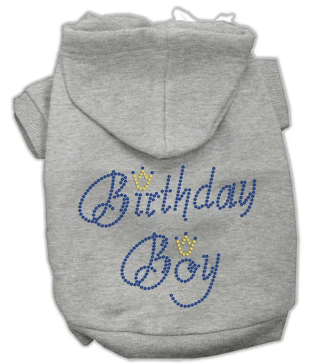 Birthday-Boy-Hoodies-Grey-S-GreatEagleInc-319521079