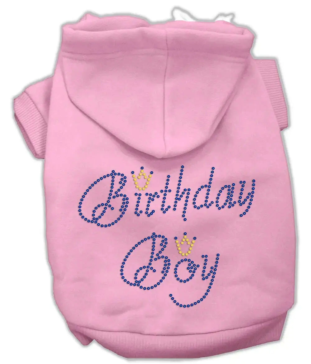 Birthday-Boy-Hoodies-Pink-Xs-GreatEagleInc-319519777
