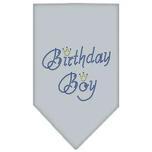 Birthday-Boy-Rhinestone-Bandana-Grey-Large-GreatEagleInc-318979610