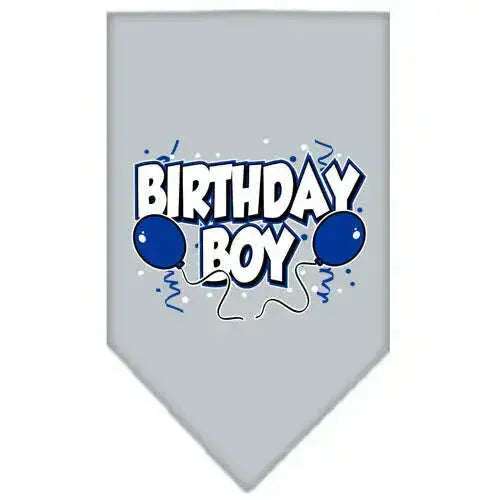 Birthday-Boy-Screen-Print-Bandana-Grey-Large-GreatEagleInc-318530755