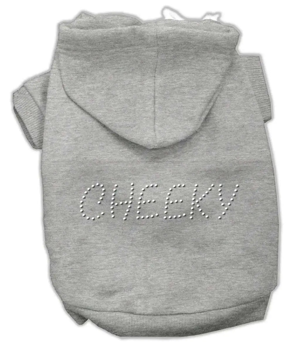 Cheeky-Hoodies-Grey-Xl-GreatEagleInc-319603816