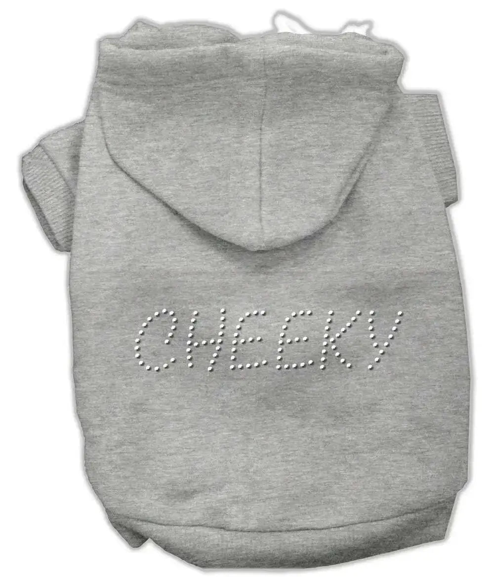 Cheeky-Hoodies-Grey-Xs-GreatEagleInc-318722781