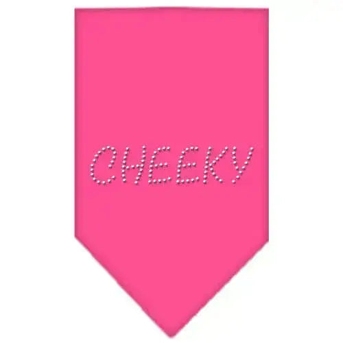 Cheeky-Rhinestone-Bandana-Bright-Pink-Small-GreatEagleInc-318983197