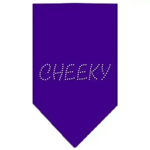 Cheeky-Rhinestone-Bandana-Purple-Large-GreatEagleInc-318982679