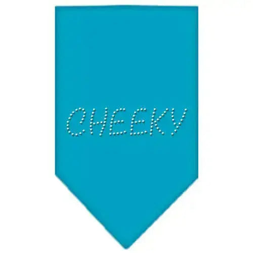 Cheeky-Rhinestone-Bandana-Turquoise-Small-GreatEagleInc-318984057
