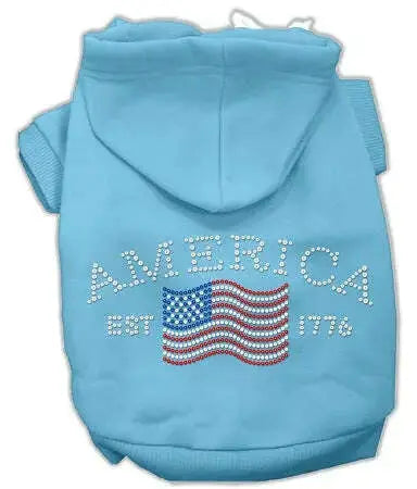 Classic-American-Hoodies-Baby-Blue-Xxxl-GreatEagleInc-319509584