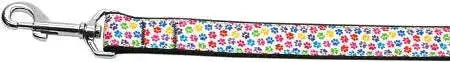 Confetti-Paws-Nylon-Dog-Leash-5-8-Inch-Wide-6ft-Long-GreatEagleInc-320032015