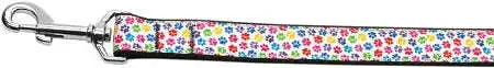 Confetti-Paws-Nylon-Dog-Leash-5-8-Inch-Wide-6ft-Long-GreatEagleInc-320032015