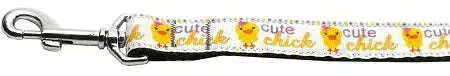 Cute-Chick-Nylon-Ribbon-Collars-1-Wide-6ft-Leash-GreatEagleInc-318523720