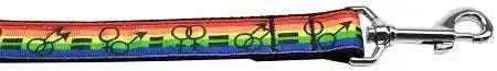 Equality-Nylon-Dog-Leash-5-8-Inch-Wide-6ft-Long-GreatEagleInc-318788062