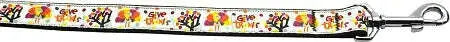 Give-Thanks-Nylon-Dog-Leash-3-8-Inch-Wide-4ft-Long-GreatEagleInc-320035463