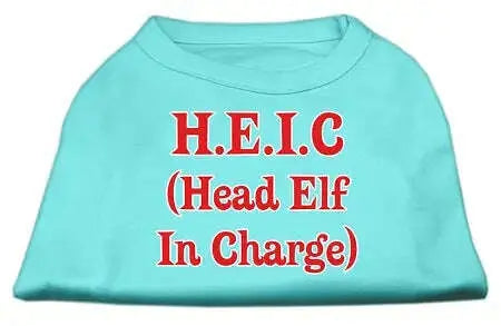 Head-Elf-In-Charge-Screen-Print-Shirt-Aqua-Xs-GreatEagleInc-333668719