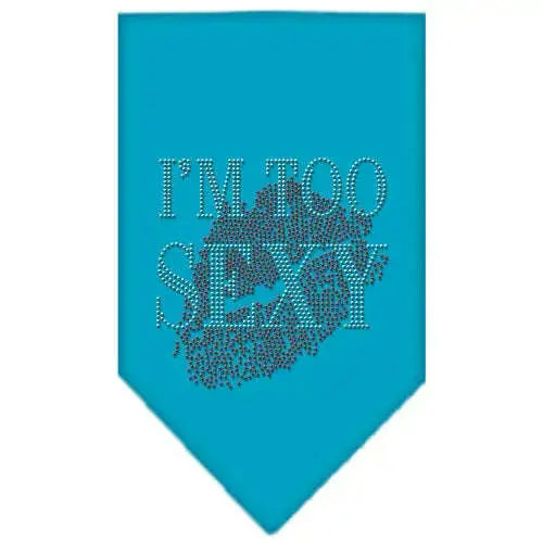 I_m-Too-Sexy-Rhinestone-Bandana-Turquoise-Small-GreatEagleInc-319298280
