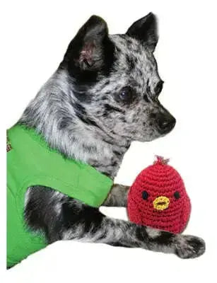 Knit-Knacks-Rockin-Robin-Organic-Cotton-Small-Dog-Toy-GreatEagleInc-320193813