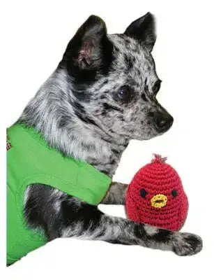 Knit-Knacks-Rockin-Robin-Organic-Cotton-Small-Dog-Toy-GreatEagleInc-320193813