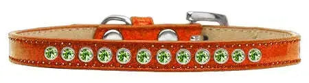 Lime-Green-Crystal-Size-8-Orange-Puppy-Ice-Cream-Collar-GreatEagleInc-319619631