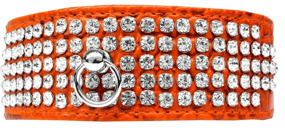 Mirage-5-Row-Rhinestone-Designer-Croc-Dog-Collar-Orange-Size-18-GreatEagleInc-334347451