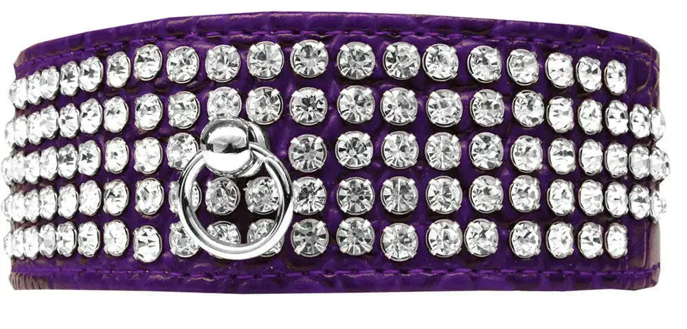 Mirage-5-Row-Rhinestone-Designer-Croc-Dog-Collar-Purple-Size-16-GreatEagleInc-334348126