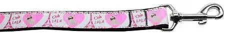 Oh-La-La-Paris-Nylon-Dog-Leash-5-8-Inch-Wide-4ft-Long-GreatEagleInc-318928570