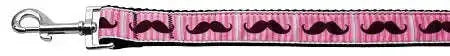 Pink-Striped-Moustache-Nylon-Dog-Leash-3-8-Inch-Wide-6ft-Long-GreatEagleInc-318520185