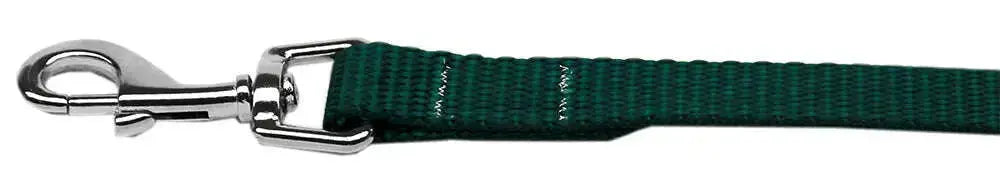 Plain-Nylon-Pet-Leash-3-8in-By-6ft-Green-GreatEagleInc-334260593