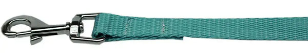 Plain-Nylon-Pet-Leash-3-8in-By-6ft-Ocean-Blue-GreatEagleInc-334264850
