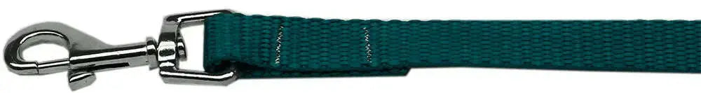 Plain-Nylon-Pet-Leash-3-8in-By-6ft-Teal-GreatEagleInc-334300152