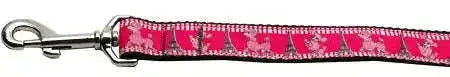 Poodles-In-Paris-Nylon-Dog-Leash-3-8-Inch-Wide-4ft-Long-GreatEagleInc-318905168