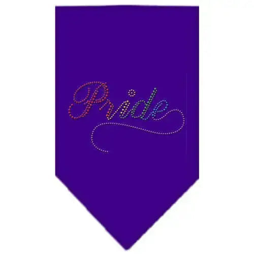 Pride-Rhinestone-Bandana-Purple-Small-GreatEagleInc-333787815