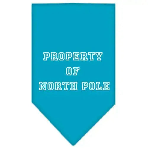 Property-Of-North-Pole-Screen-Print-Bandana-Turquoise-Large-GreatEagleInc-319832287
