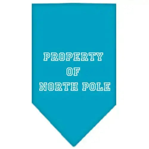 Property-Of-North-Pole-Screen-Print-Bandana-Turquoise-Small-GreatEagleInc-319831082