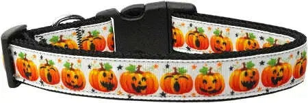 Pumpkin-Parade-Nylon-Cat-Collar-GreatEagleInc-318569287