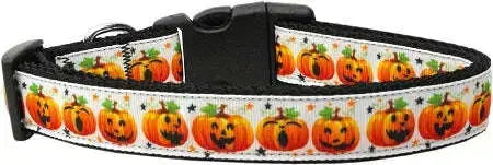 Pumpkin-Parade-Nylon-Dog-Collar-Sm-GreatEagleInc-318783330