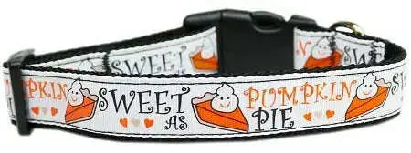 Pumpkin-Pie-Nylon-Cat-Collar-GreatEagleInc-318789894