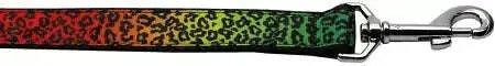 Rainbow-Leopard-Nylon-Dog-Leash-5-8-Inch-Wide-4ft-Long-GreatEagleInc-318485277